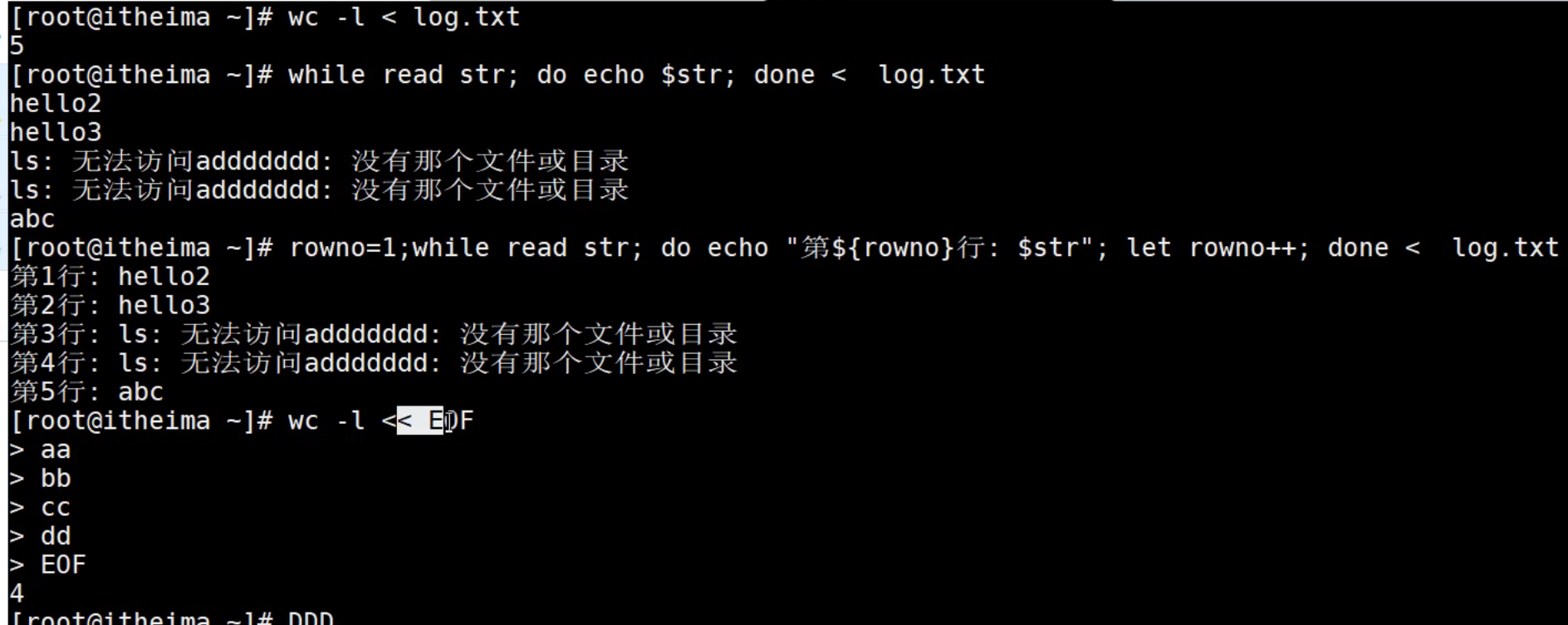 image-20231212143328956
